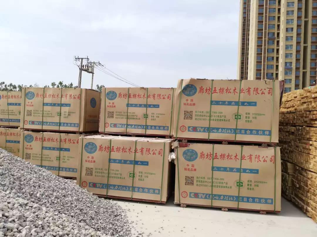 美狮贵宾会集团助力沧州新地标---京贵大厦